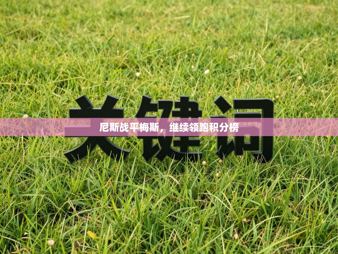 尼斯战平梅斯，继续领跑积分榜  第1张