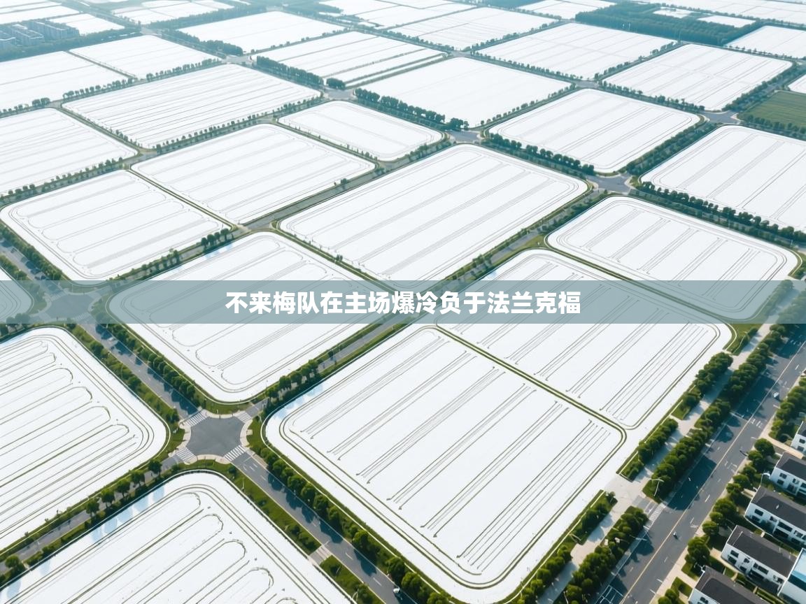 不来梅队在主场爆冷负于法兰克福  第1张