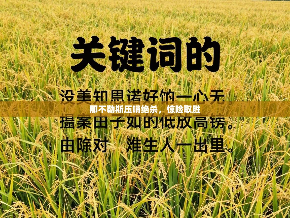 那不勒斯压哨绝杀，惊险取胜  第1张