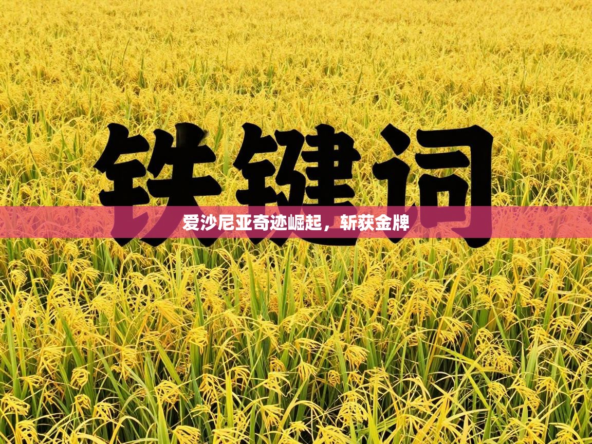 爱沙尼亚奇迹崛起，斩获金牌  第1张