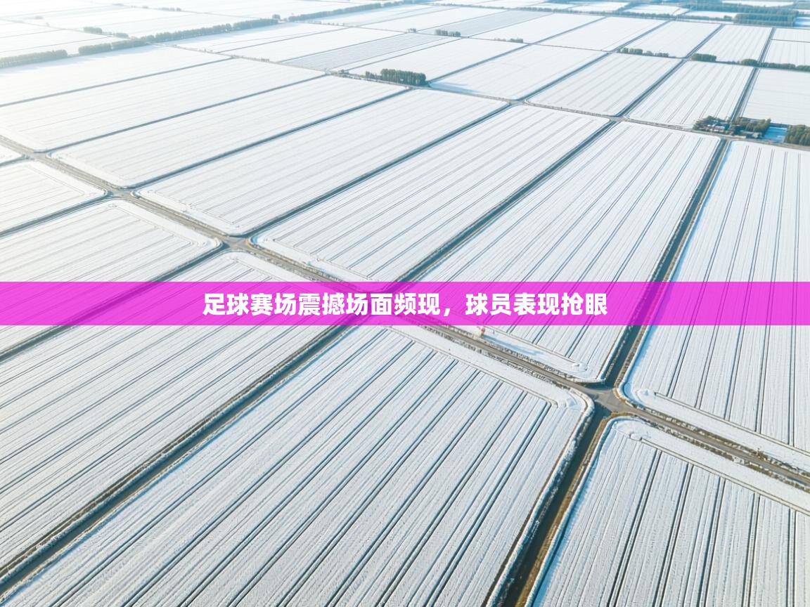 足球赛场震撼场面频现,球员表现抢眼 第1张