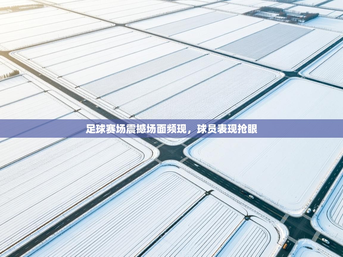 足球赛场震撼场面频现,球员表现抢眼 第2张