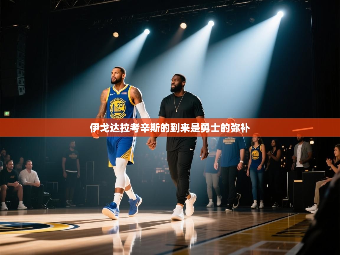 伊戈达拉考辛斯的到来是勇士的弥补  第2张