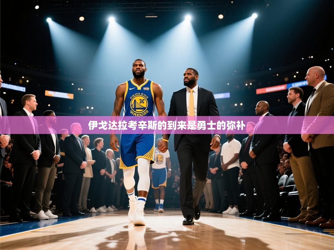 伊戈达拉考辛斯的到来是勇士的弥补  第1张